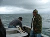 Cawthron Opotiki survey Oct 11 2005_070_thumb.gif